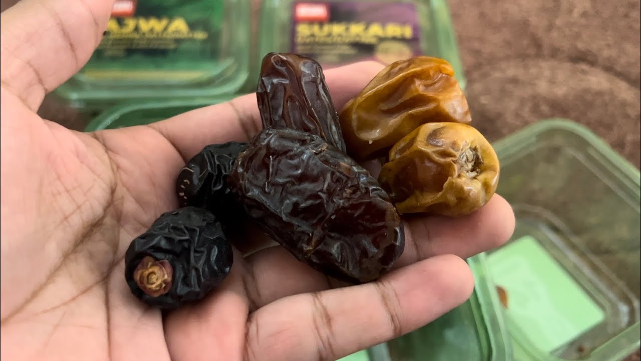 Food Review: Medjool Date