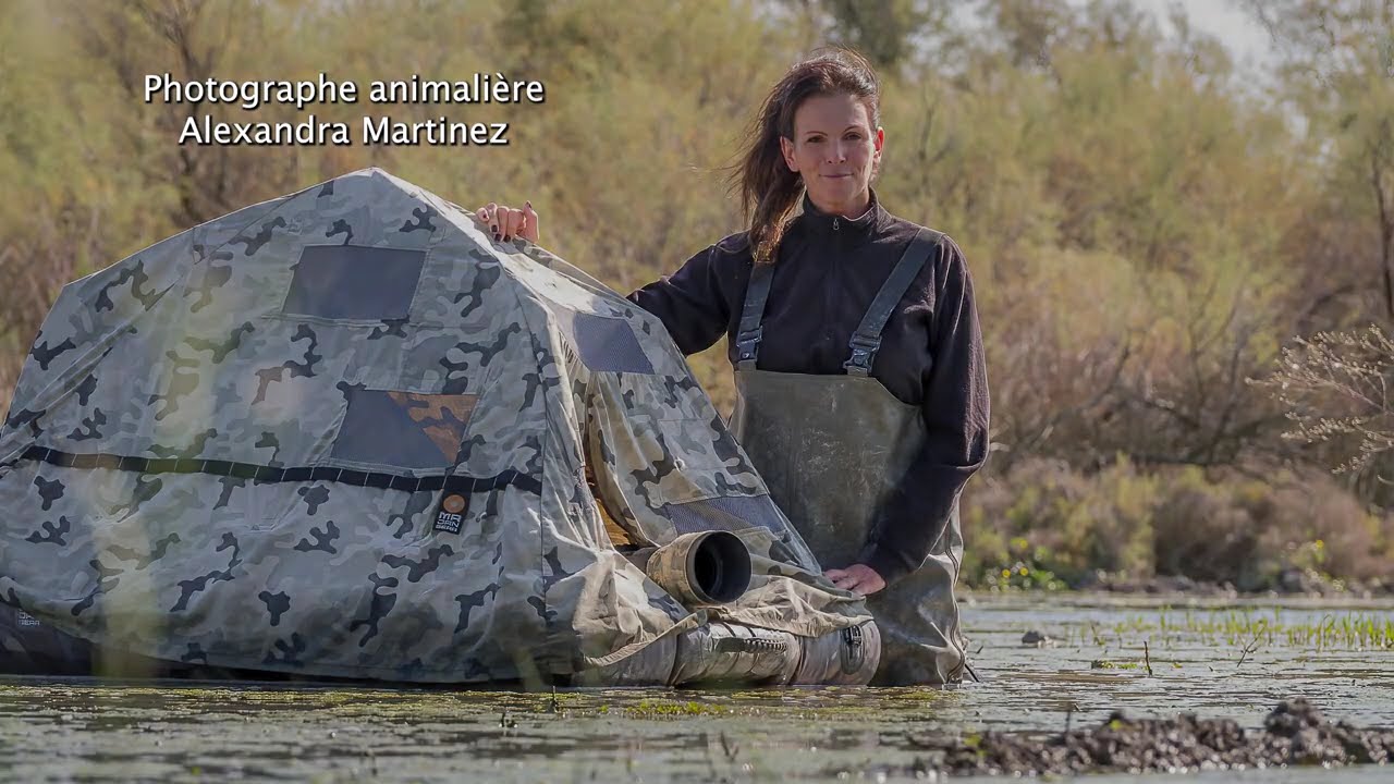 Stage photo animaliere en aff&ucirc;t flottant en Camargue