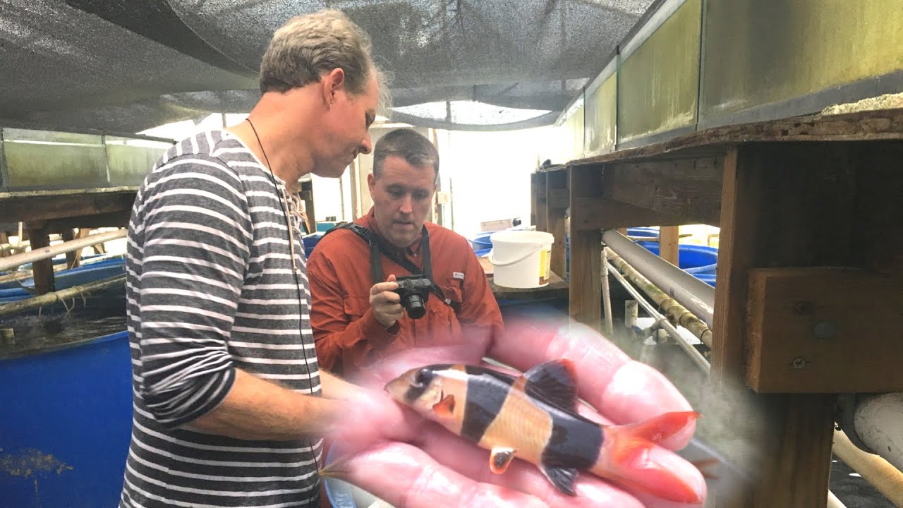 Weekend with Aquarium Co-Op: Behind The Scenes