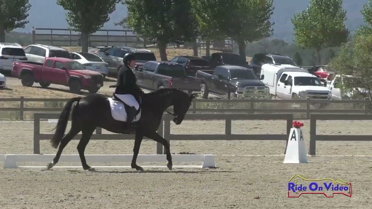 124D Sue Buxton on Dancing in the Dark Novice AM Dressage Woodside August 2023