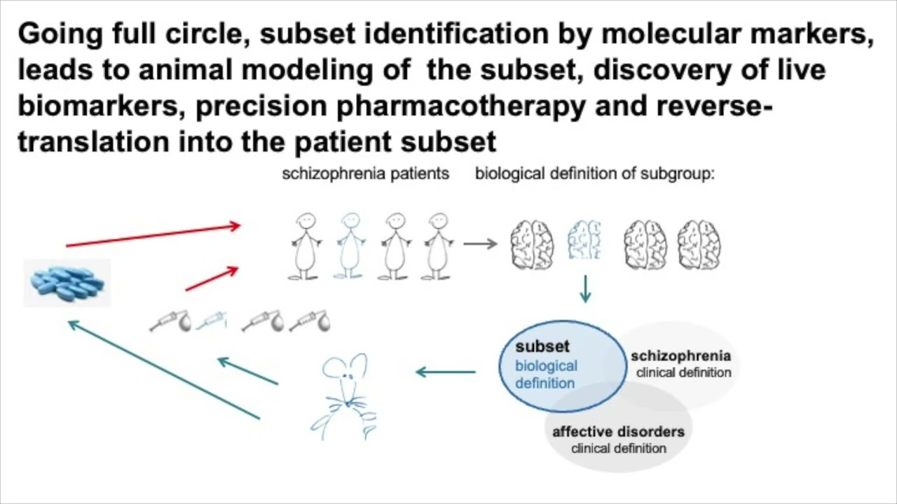 Molecular Precision Psychiatry. From subset identification to animal modeling and  pharmacotherapy.