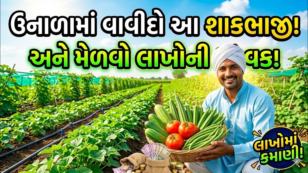 ઉનાળામાં વાવો આ શાકભાજી અને મેળવો શાકભાજીના સારાબભાવો 