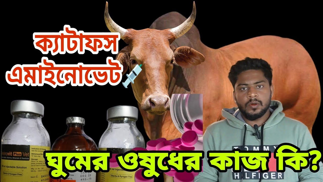 গরুর ঘুমের ট্যাবলেট💊, ক্যাটোফস ও এমাইনোভেট কি কাজ করে??