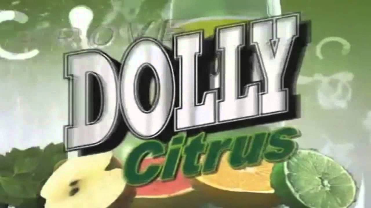 dolly bugs