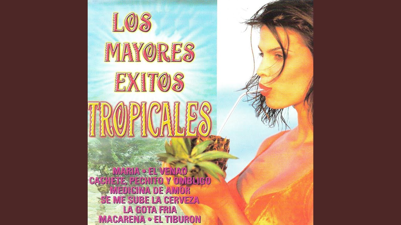 Medley 1: El Paso de la Tortuga / Conozco a una Negra / Bidi Dibi Bom Bom / El Niño Majadero /...