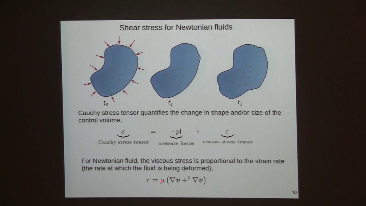 Cyprien Soulaine - Simulation Techniques to model flow and transport at the pore-scale