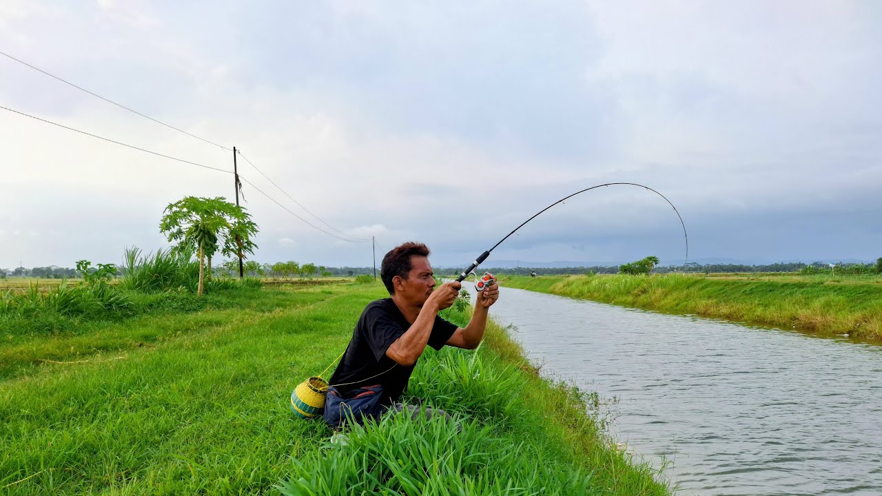 PETIR MENYAMBAR SAAT LIVE MANCING DI SUNGAI TENGAH SAWAH