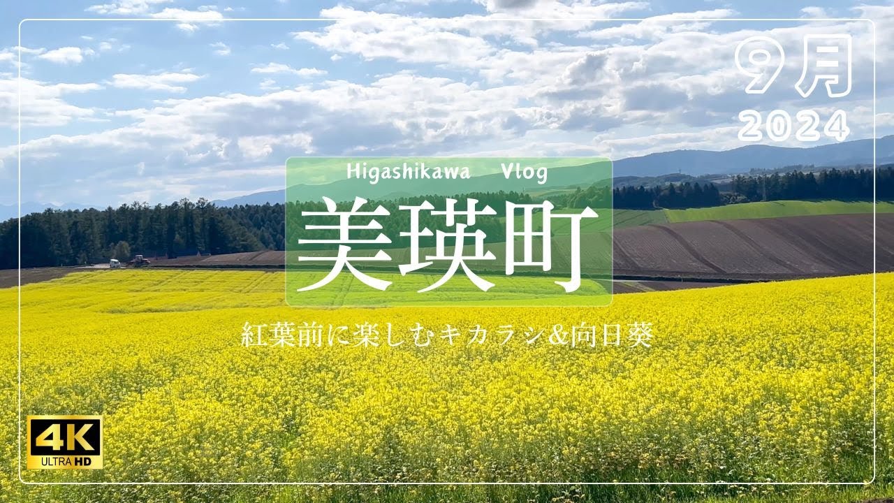 【北海道旅vlog #25】美瑛観光シリーズ⑨｜北西の丘展望公園｜フェルムラ・テール｜新栄の丘｜キカラシ畑｜《４K》