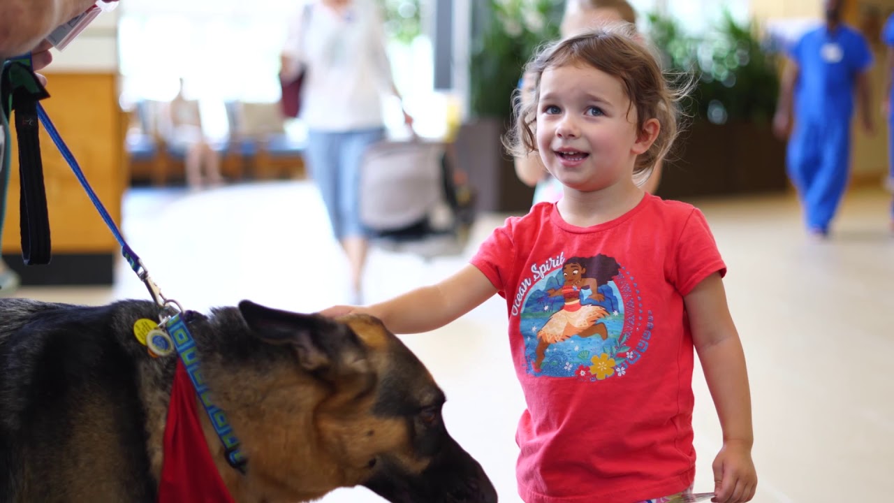 NHRMC Therapy Dog Profile: Roentgen