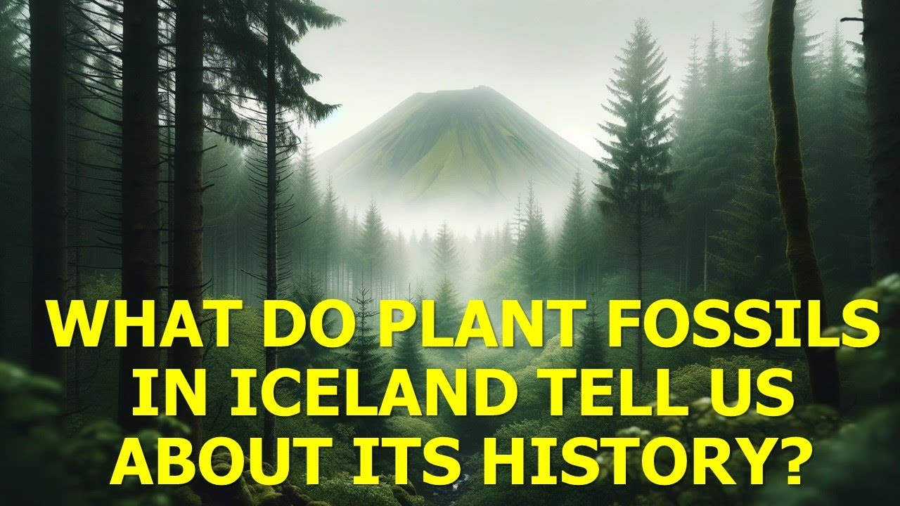 Ancient Iceland Plant Fossils Reveal a Very Green Land