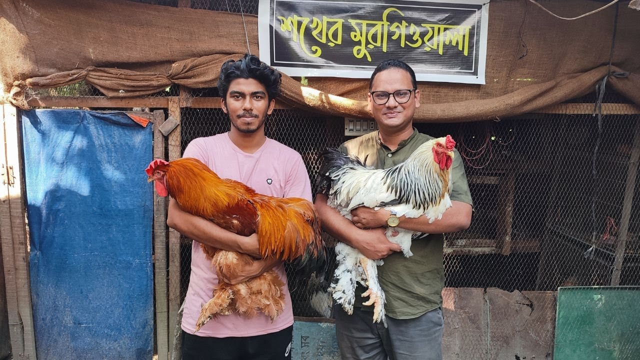 বগুড়ার শখের মুরগিওয়ালা আপনের সাফল্যের গল্প ।। Expensive and Rare Chicken Farm