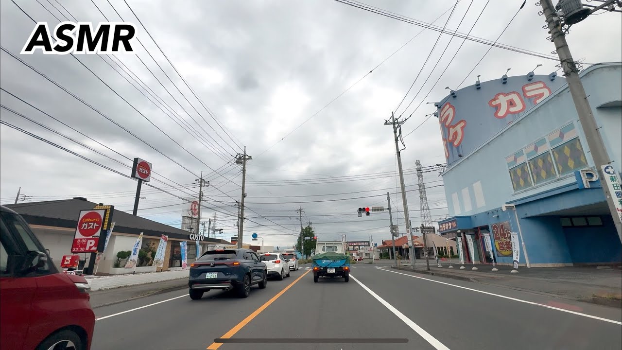 Quiet Commute Under Cloudy Skies | Japan Drive#4K