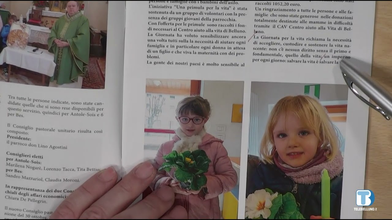 Insieme - Rassegna di giornali della provincia di Belluno - 21/02/2024
