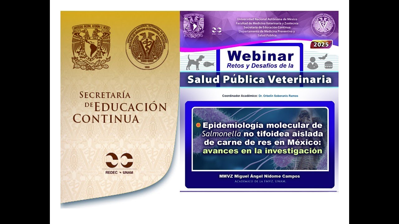 Epidemiología molecular de Salmonella no tifoidea aislada de carne de res en México: