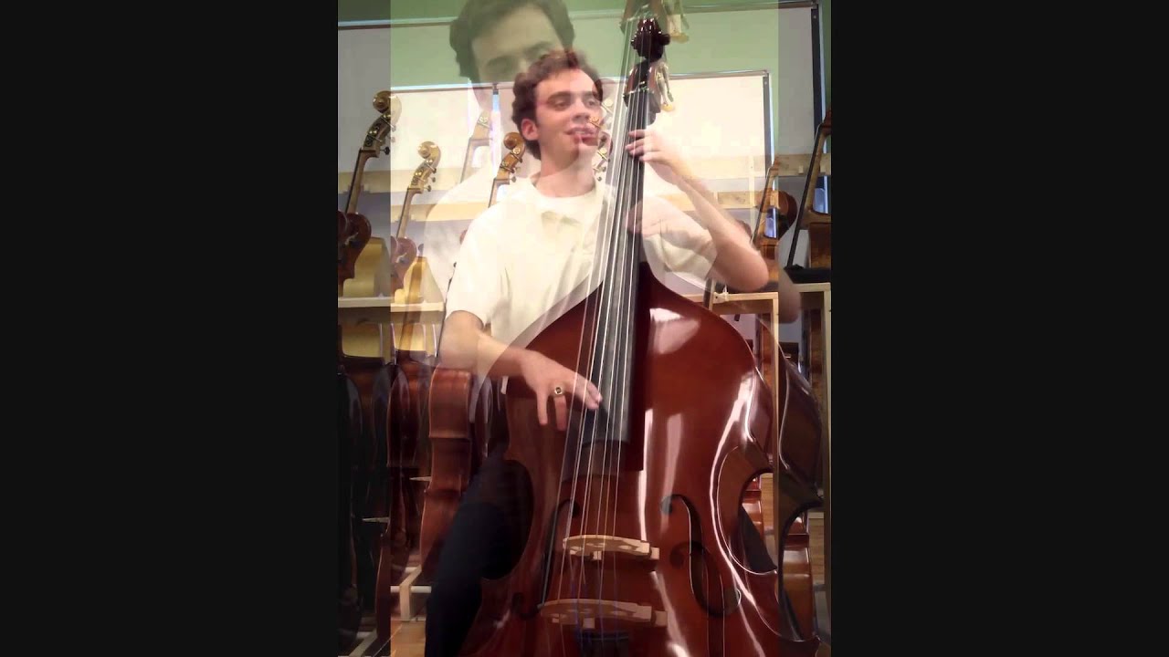 Samuel Shen SB80 3/4 Bass
