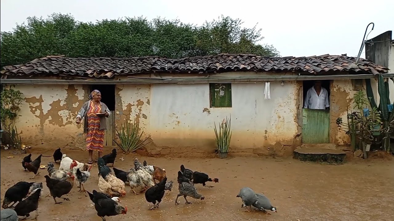 NA ROÇA COM DONA 'JURACI