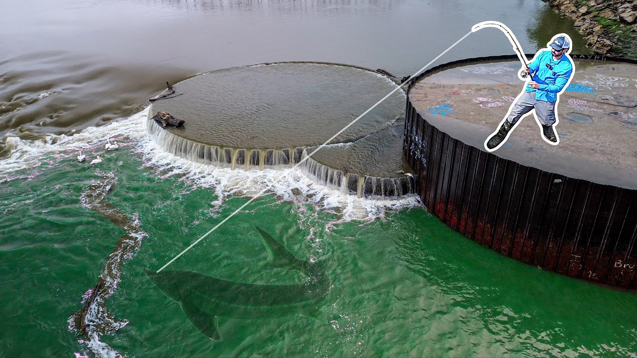 A BUCKET LIST Fish Species Lives Here... And I CAUGHT IT!!!!