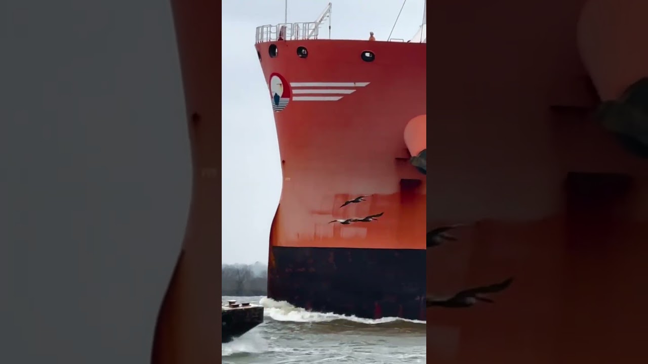 LPG Tanker built in 2021! 😍 #vessel #ship #lpg #Shorts #shipwatching