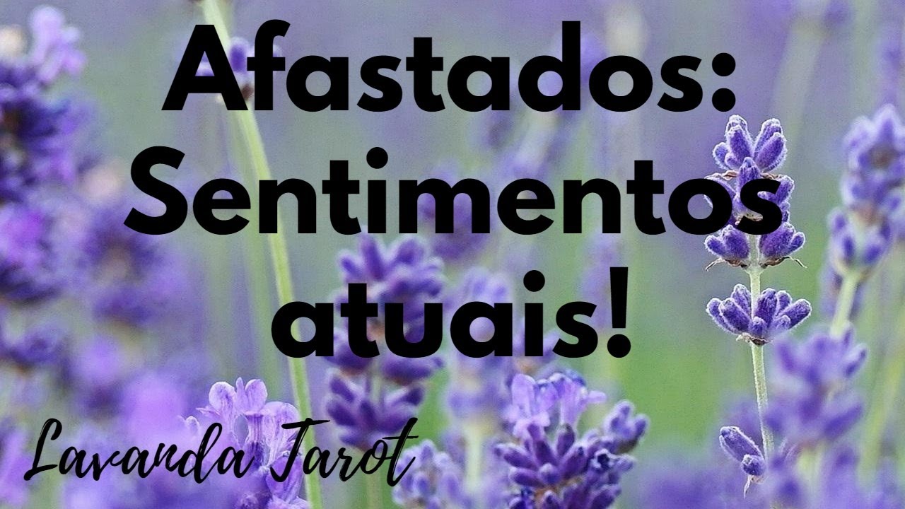 #tarot Afastados: sentimentos atuais!