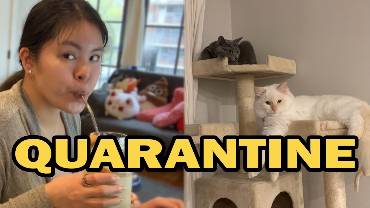 WORK WEEK in My Life as a TECHNOLOGY CONSULTANT in NYC QUARANTINE  (with Cats)!