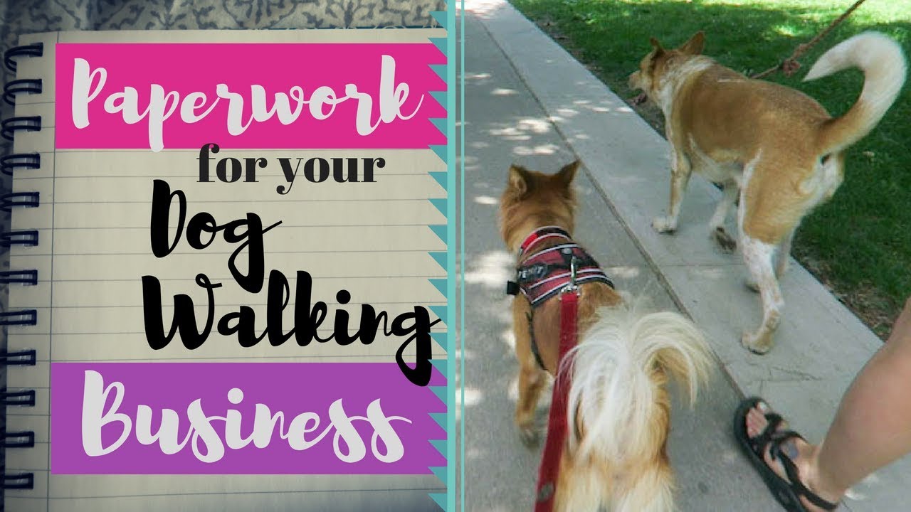 How to ORGANIZE Your Dog Walking Paperwork