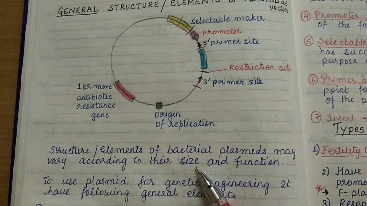 Bacterial Plasmids part 1