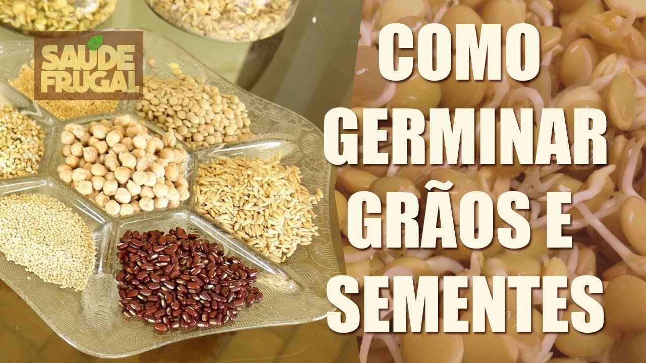 COMO GERMINAR HIDRATAR GRÃOS E SEMENTES ALIMENTAÇÃO VIVA CRUA VEGETAL