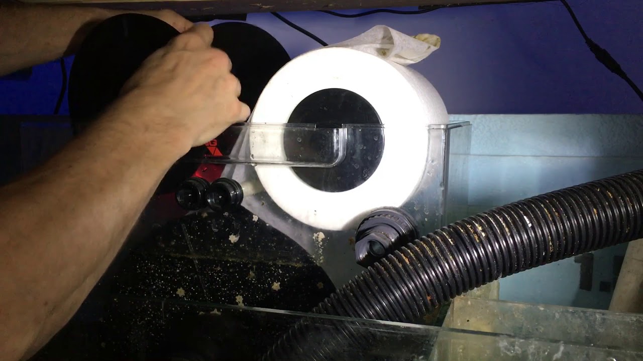 Reef  Aquarium Theiling Rollermatt filter replacement