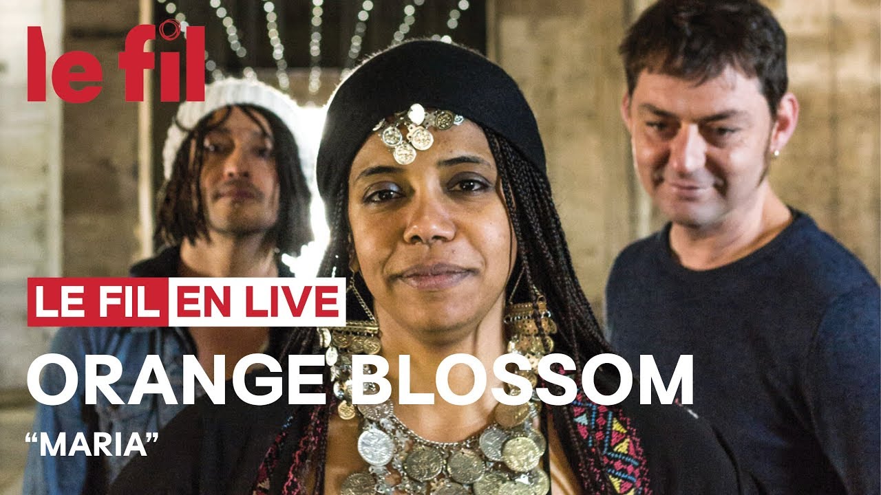 ORANGE BLOSSOM - Maria // Live @ le fil