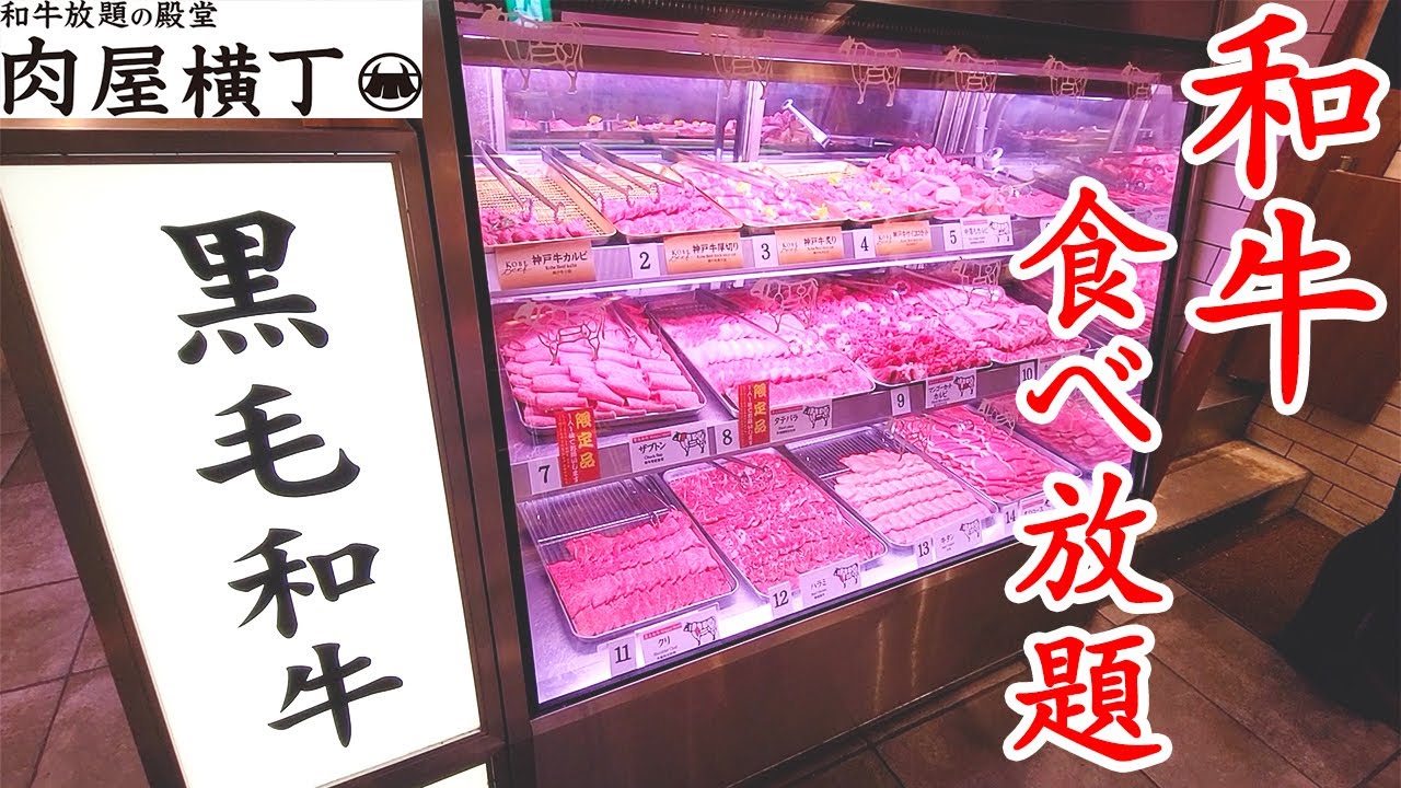 【和牛食べ放題】秋葉原で大人気の「肉屋横丁」さんで焼肉食べ放題したら美味しすぎて最高でした♪【肉屋横丁 秋葉原 ランチ ぼっち】