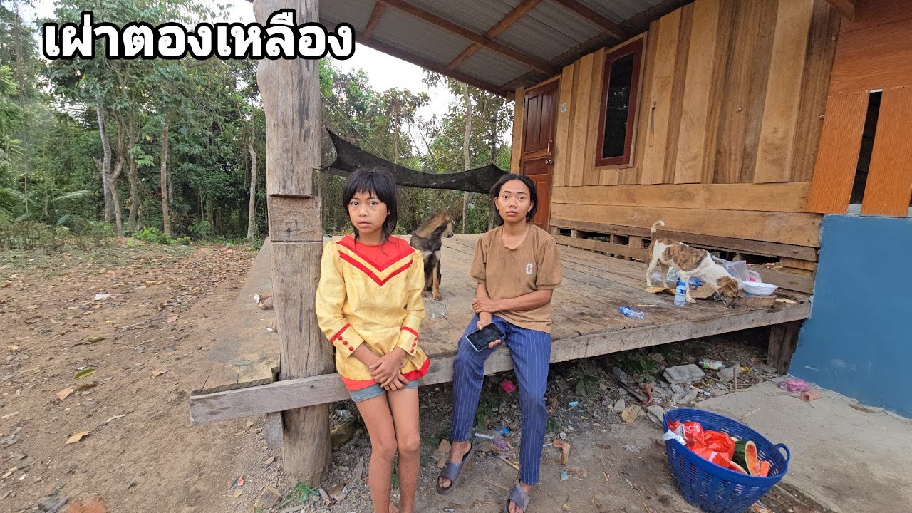 นางติ๊กมีแผนอะไรอีกแล้วในการออกมาครั้งนี้ คนป่า ตองเหลึอง ຄົນປ່າ ຕອງເຫຼືອງ bn saolao 