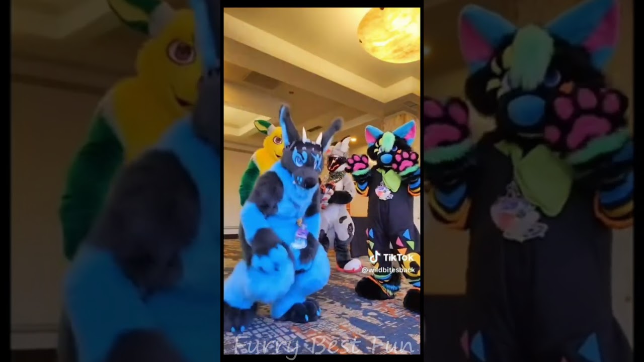 BEST Furry TikToks compilation 0435 #shorts #furrytiktok #furry  #funnyvideo  #youtube