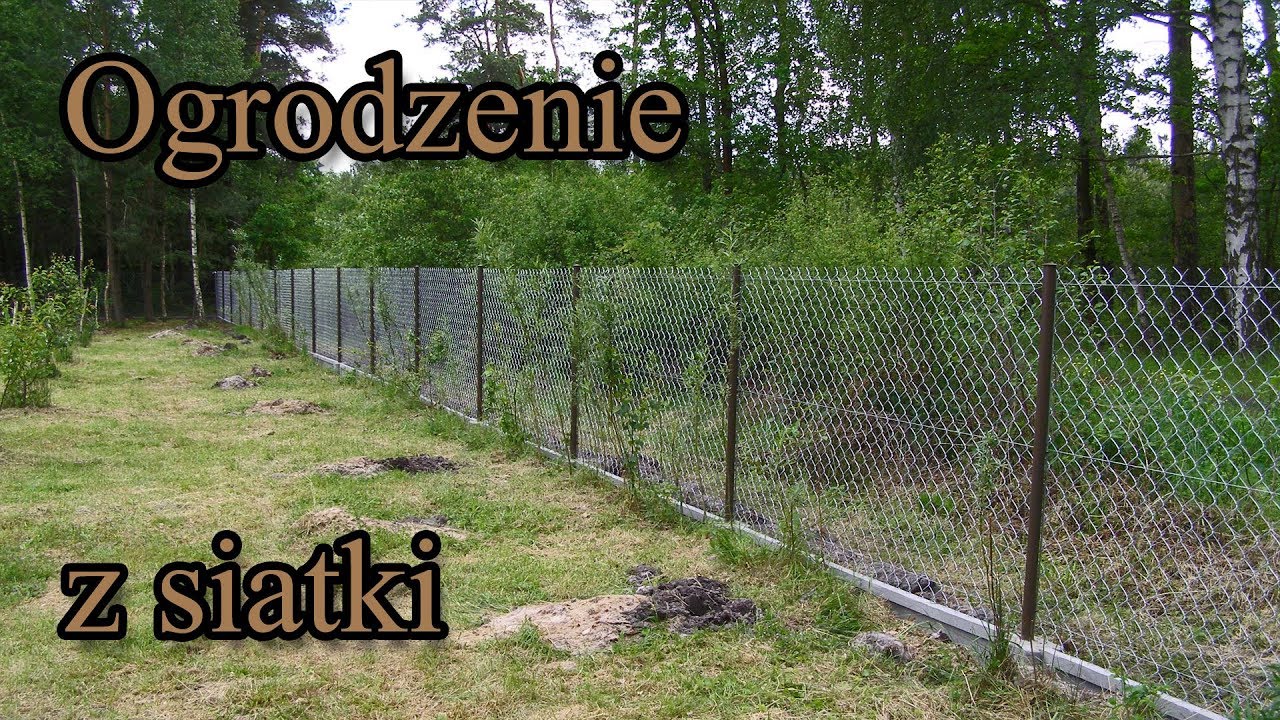 Ogrodzenie z siatki