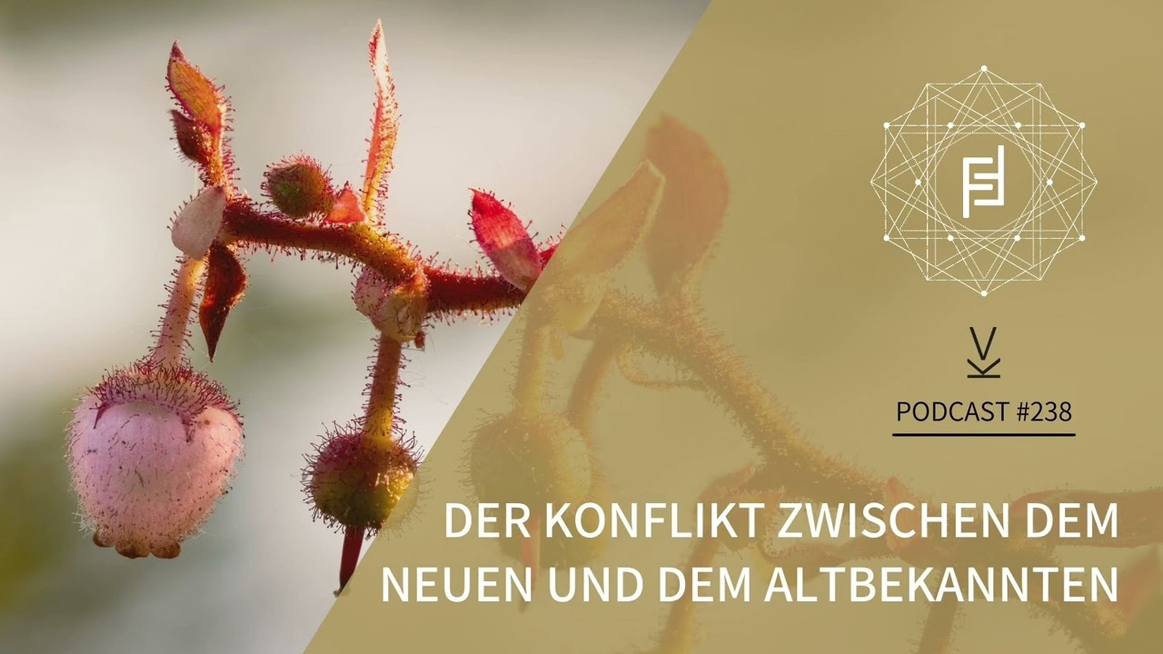 Der Konflikt zwischen dem Neuen und dem Altbekannten // Podcast #238