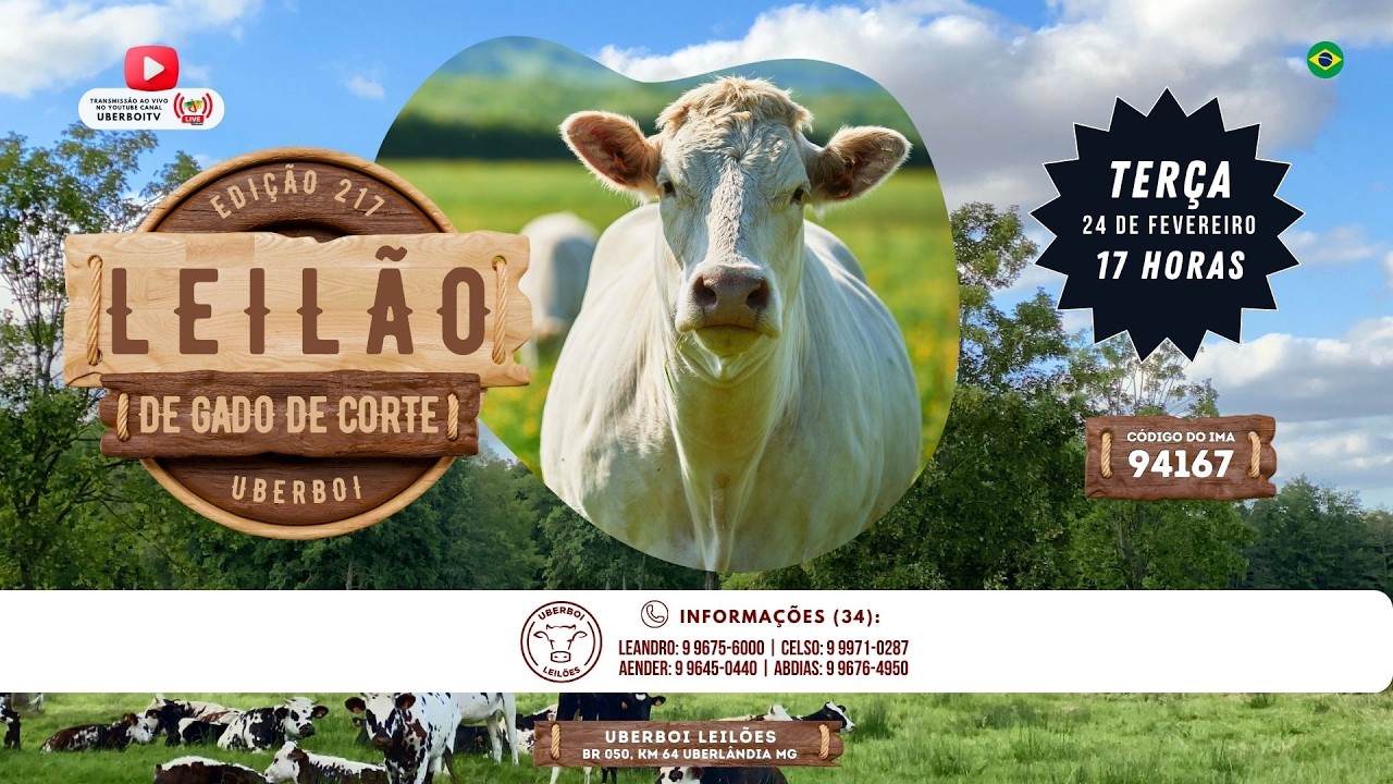217º LEILÃO UBERBOI LEILÕES - UBERLÂNDIA MG - 24/02/2026 - 17 Hrs