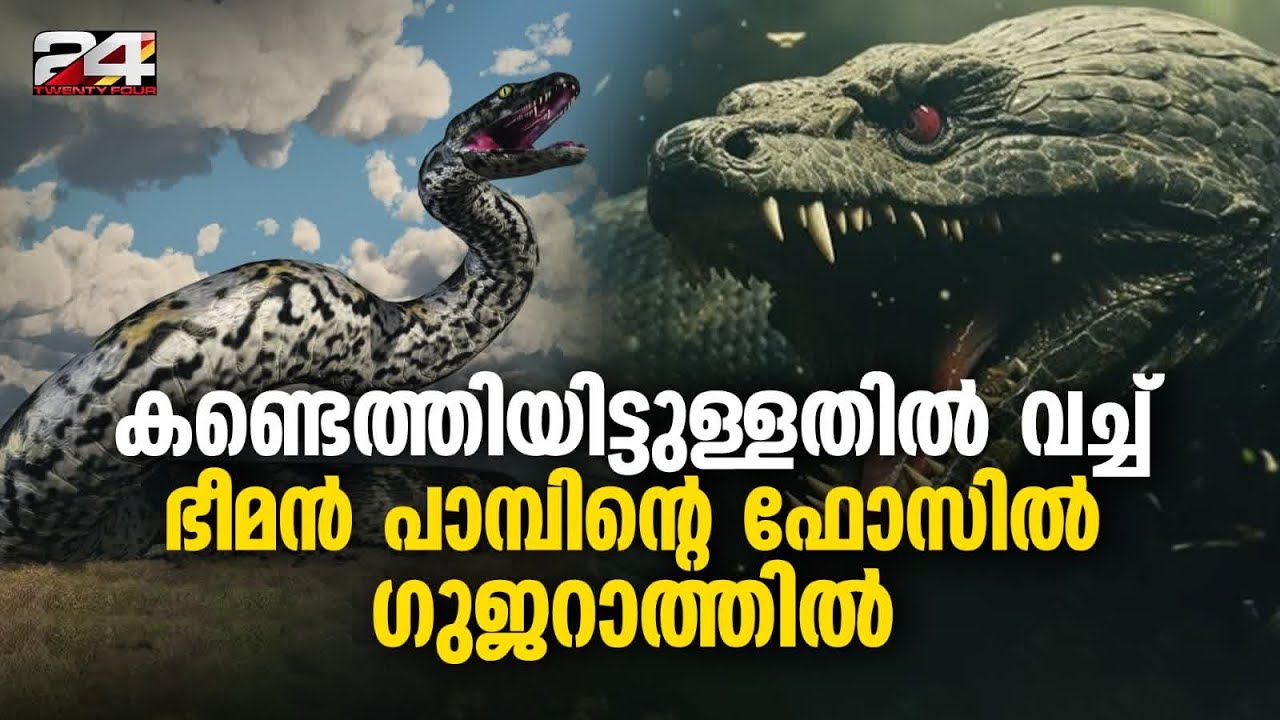 15 മീറ്റർ നീളവും 1,000 കിലോഗ്രാം ഭാരവുമുള്ള വാസുകി ഇൻഡിക്കസിന്റെ ഫോസിൽ കണ്ടെത്തി | Snake ‘Vasuki’
