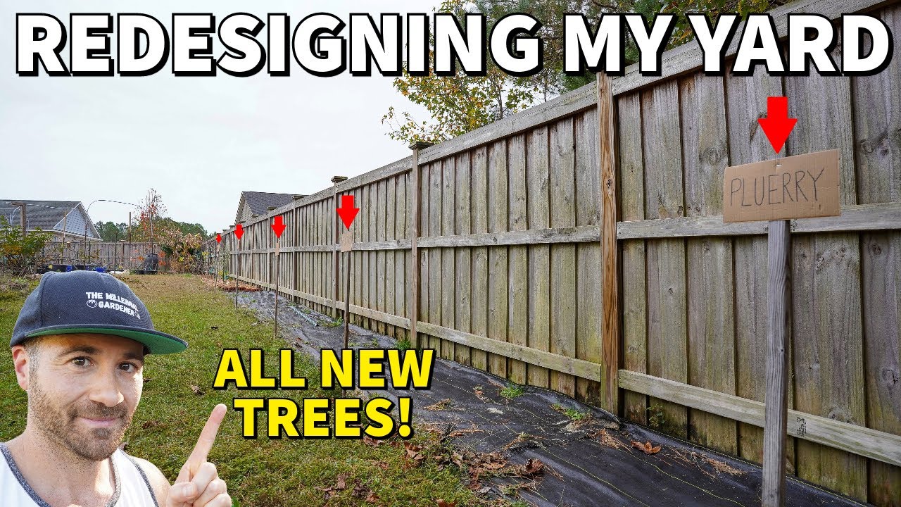 I'm Redesigning My Yard For The New Season