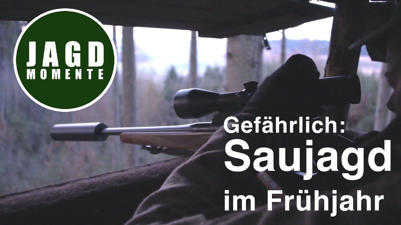 Gef&auml;hrlich: Saujagd im Fr&uuml;hjahr | JagdMomente | 2022 | JagenNRW