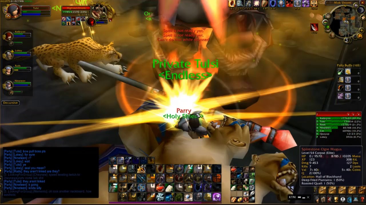 WoW Classic Paladin - Tanking LBRS w/ commentary