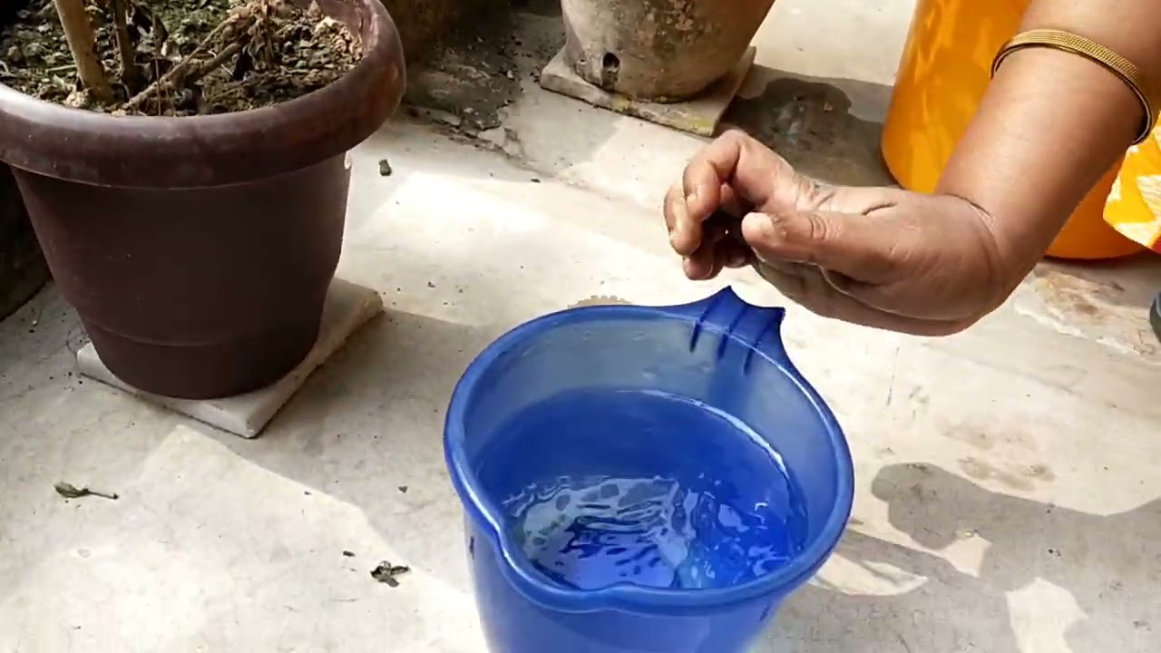 Apply soil activator & Plant Boost For Fertilizer