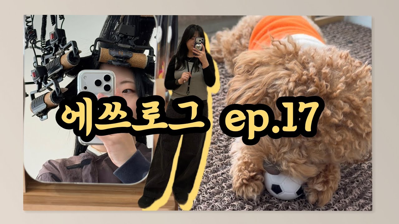 에쓰로그 ep.17 - ⭐️연휴 전⭐️ 여의도 직장인 브이로그(강남 희올헤어 | 파마하기 | 크림국밥 | 쉐이크쉑 | 속눈썹펌)