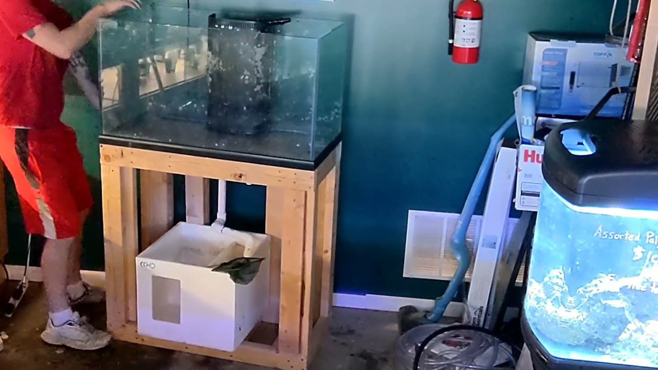 Upgrading My Very First Reef Tank (8 years old!) to a Rimless Soft Coral Paradise!!!
