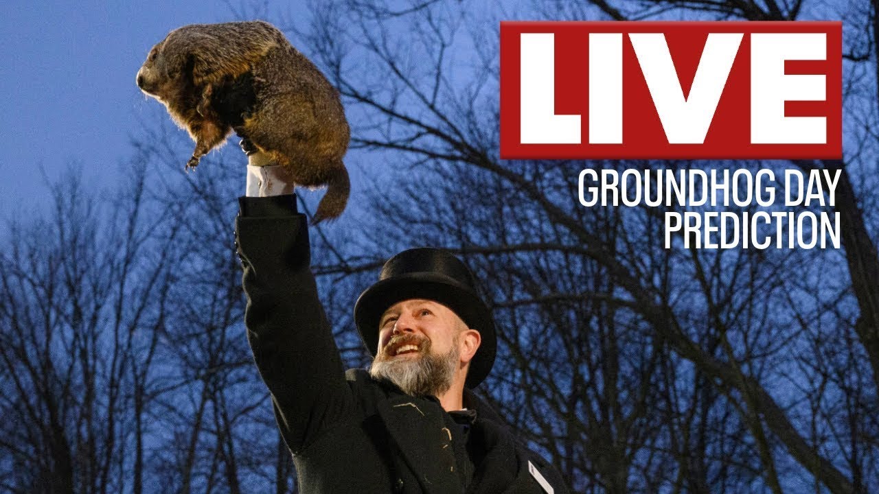 🔴Groundhog Day 2026 live: Punxsutawney Phil's prediction