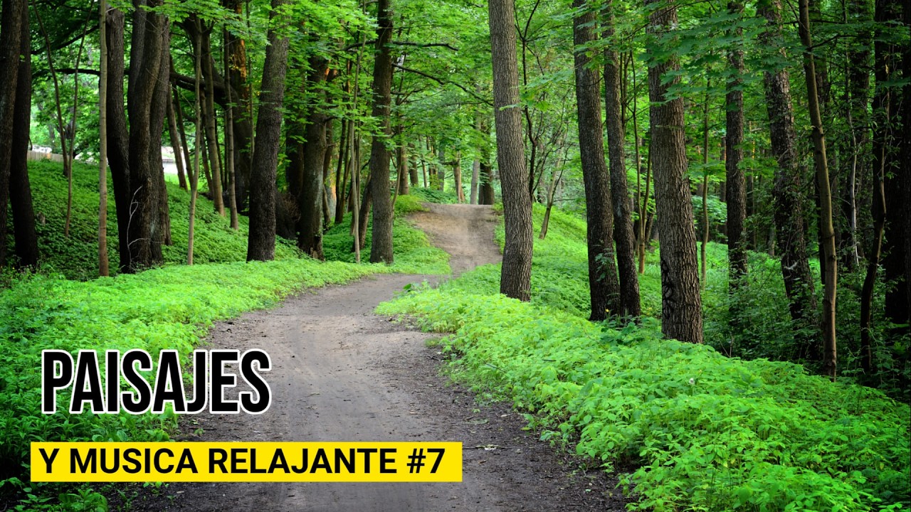 Paisajes y Musica Relajante  #7