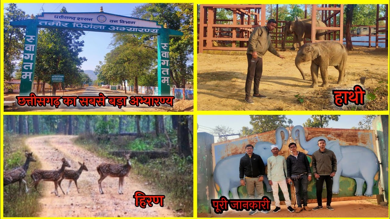 Tamor Pingla Wildlife Sanctuary || तमोर पिंगला अभ्यारण्य || Tamor Pingla Abhyaran Chhattisgarh 2021