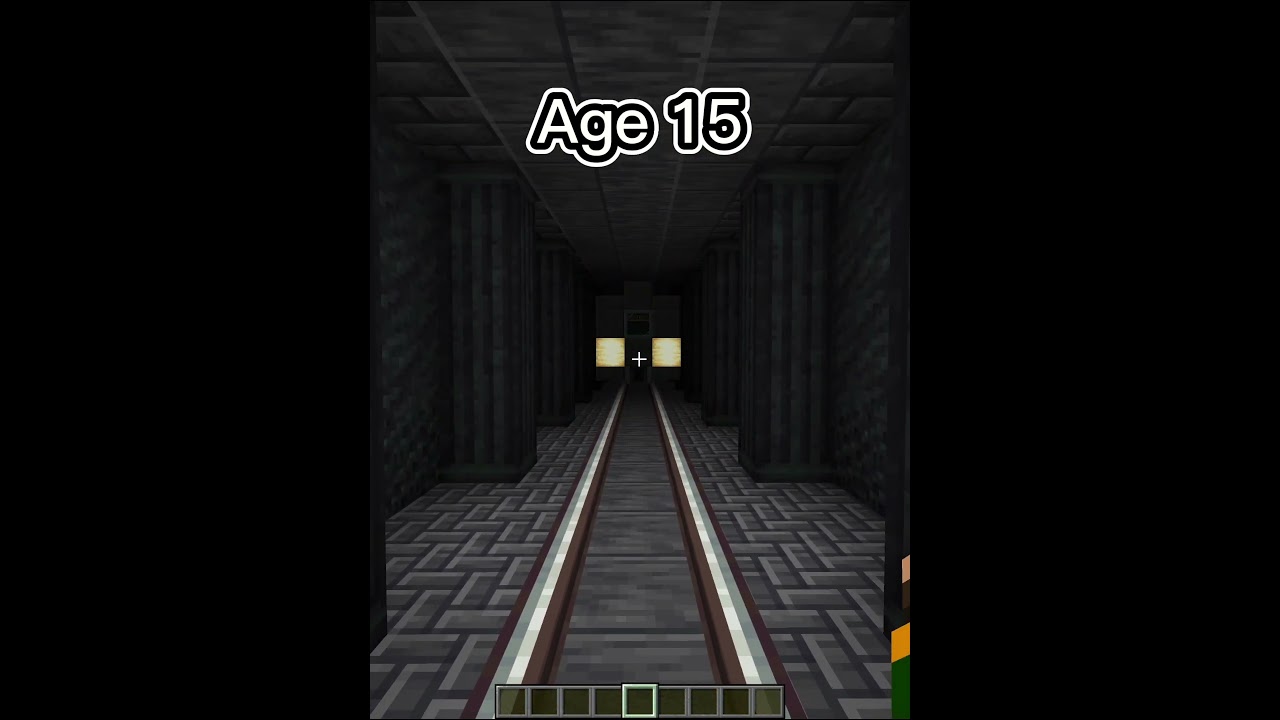 Minecraft trains at different ages (World's smallest violin)