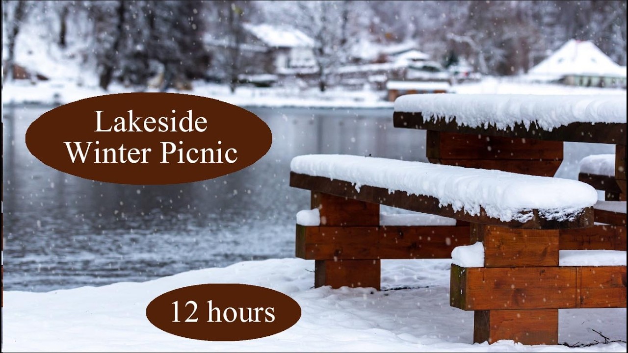 Lakeside Winter Picnic Ambience