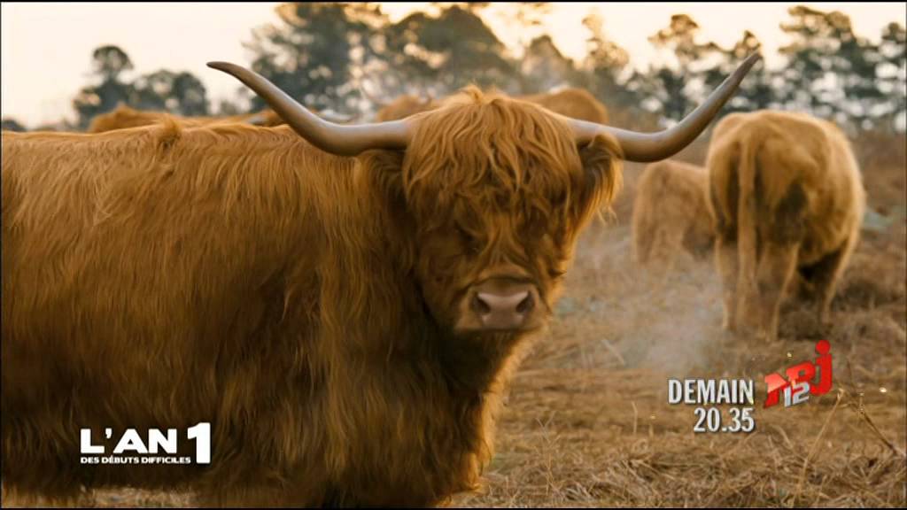 L'an 1 des debuts difficiles demain 3035 NRJ12 31 12 2012