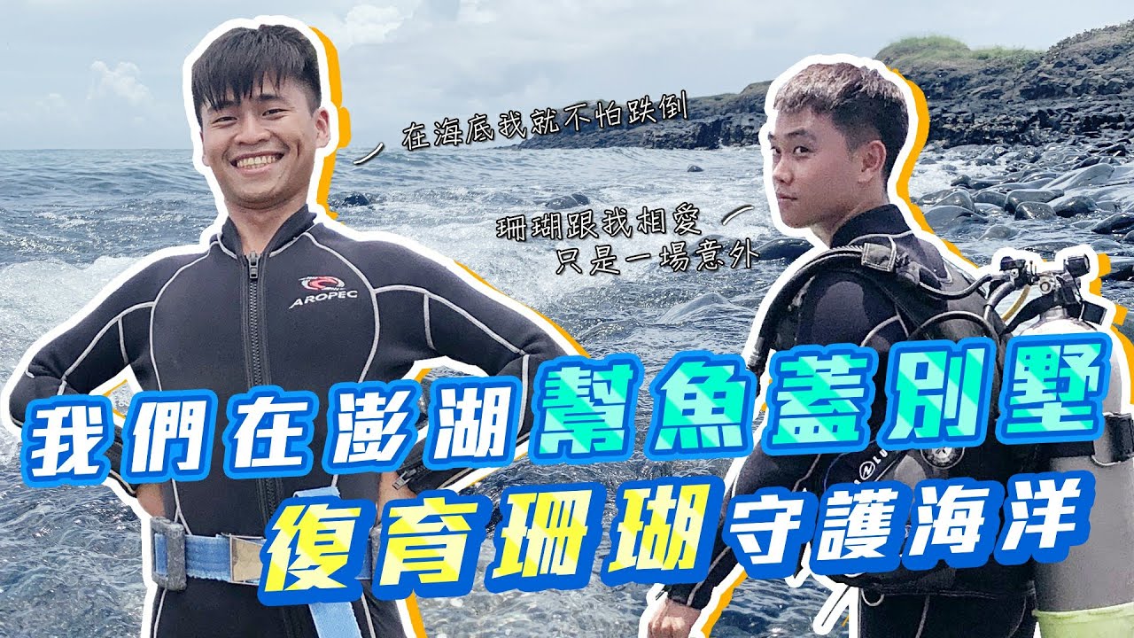 潛水體驗：我們在澎湖種珊瑚，讓愛深埋珊瑚海 ft.日日潛水｜熱青年【2020澎湖之旅】