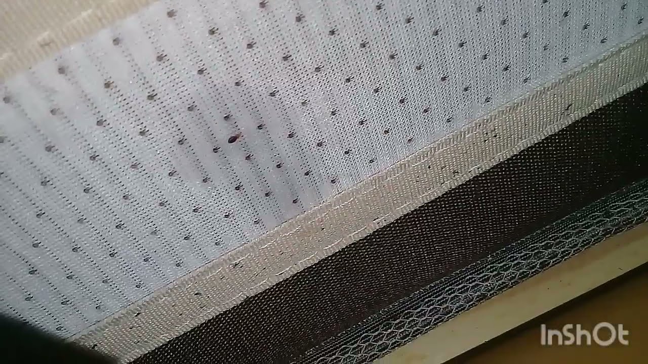 Percevejo de cama.